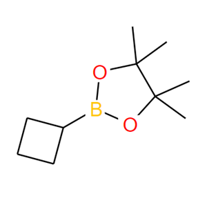 環(huán)丁基硼酸頻哪醇酯