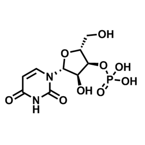 (2R,3S,4R,5R)-5-(2,4-二氧代-3,4-二氫嘧啶-1(2H)-基)-4-羥基-2-(羥甲基)四氫呋喃-3-基二氫磷酸酯