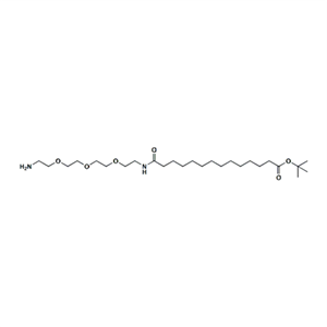  氨基-PEG3-酰胺-C12-叔丁酯