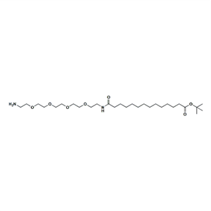 氨基-PEG4-酰胺-C12-叔丁酯