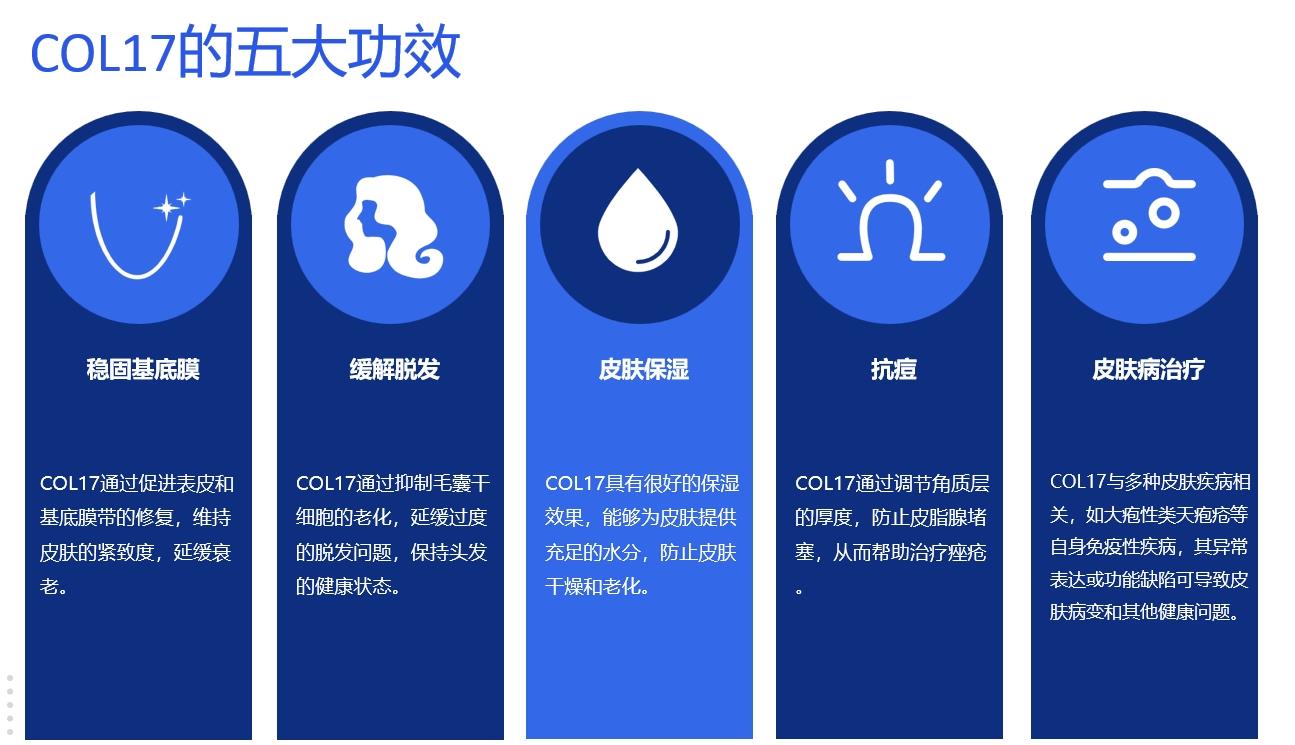五大功效.png