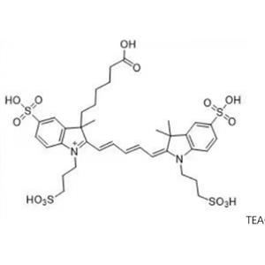 407627-58-1，AF647 acid，AF647 羧酸，一種遠(yuǎn)紅熒光染料