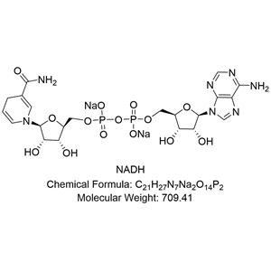 NADH；β-還原型煙酰胺腺嘌呤二核苷酸；還原型輔酶 I