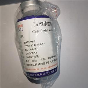 頭孢磺啶鈉  Cefsulodine sodium 52152-93-9 98%