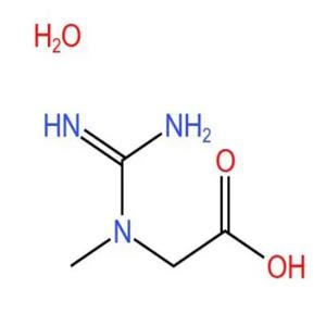 一水肌酸 6020-87-7