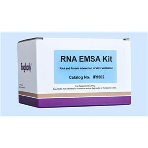 RNA EMSA電泳凝膠遷移阻滯試劑盒