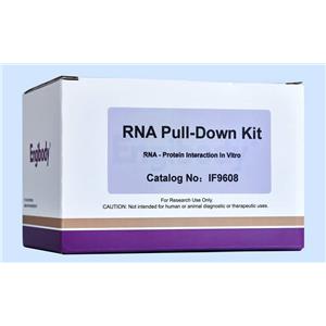 RNA Pull-down試劑盒