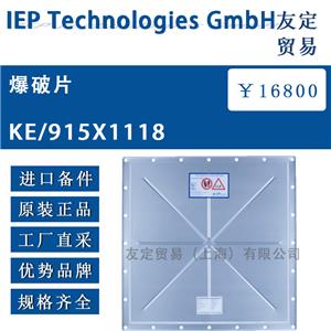 lEP Technologies GmbH 爆破片 KE/915X1118