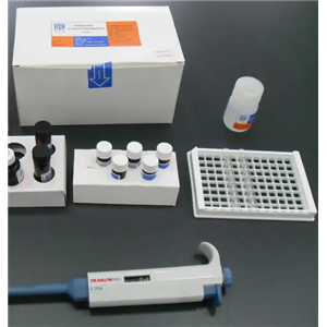 巴西利什曼蟲染料法熒光定量PCR試劑盒Leishmania braziliensis