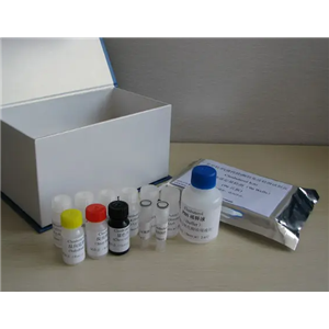 人腺病毒D37型探針法熒光定量PCR試劑盒Human Adenovirus D37（HAdV-D37）