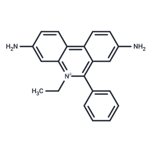 化合物 Homidium Free Base|T69378|TargetMol