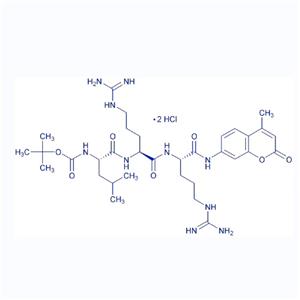 Boc-Leu-Arg-Arg-AMC/109358-46-5/熒光底物多肽Boc-Leu-Arg-Arg-AMC