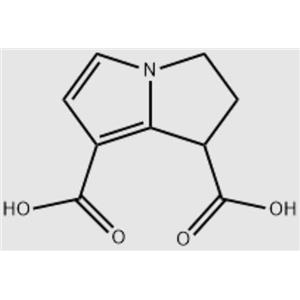 2,3-二氫-1H-吡呤-1,7-二羧酸