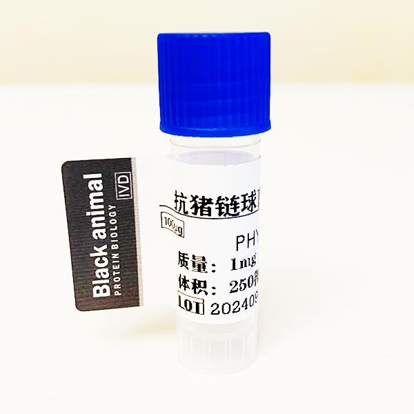 抗豬鏈球菌SAO抗體.jpg 抗豬鏈球菌SAO抗體.jpg