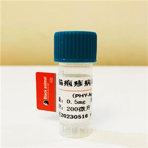 貓皰疹病毒FHV蛋白；貓皰疹病毒蛋白；貓皰疹病毒抗原；貓皰疹抗原；貓皰疹FHV抗原