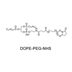 甲氧基聚乙二醇-二肉豆蔻酰基磷脂酰乙醇胺；MPEG-DMPE