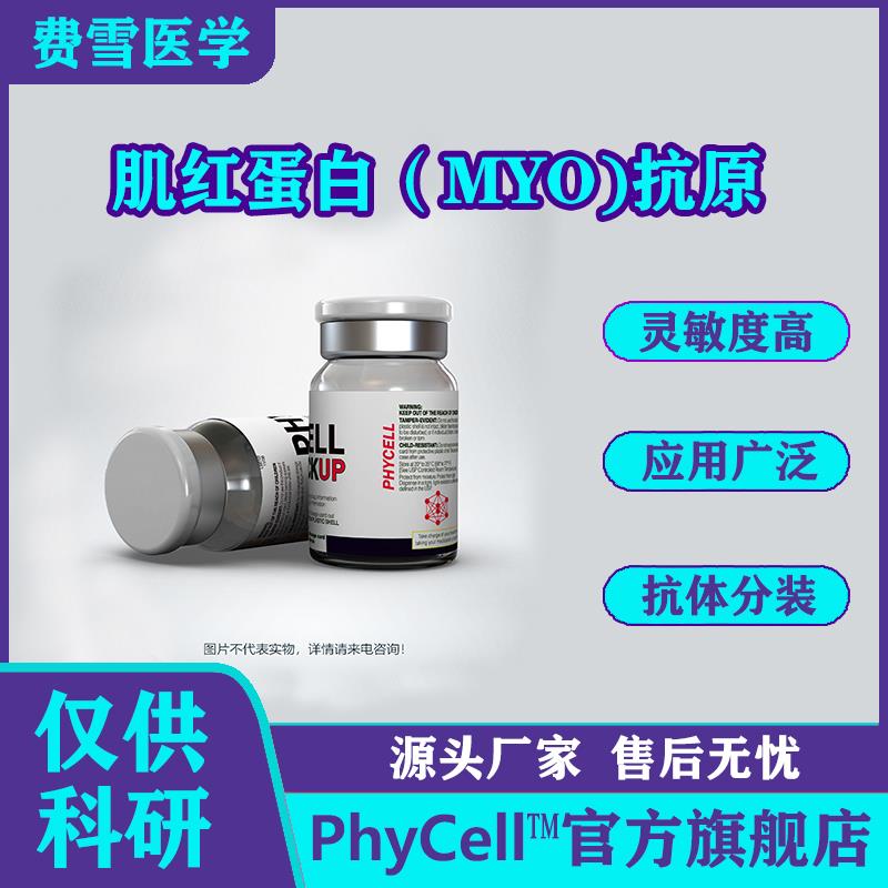 肌紅蛋白（Myoglobin，MYO)抗原.jpg