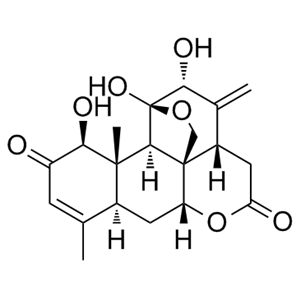 臭椿酮 981-15-7