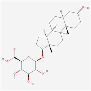 雄甾烷-3,17-二醇 17-葡萄糖醛酸苷 雄甾烷- 3α,17-二醇葡萄糖醛酸苷  賽可銳 現(xiàn) 貨