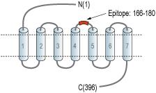 AGR-052_ept.gif