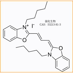 DiOC5(3)膜電位熒光探針的實驗方法
