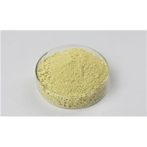 木犀草素 491-70-3