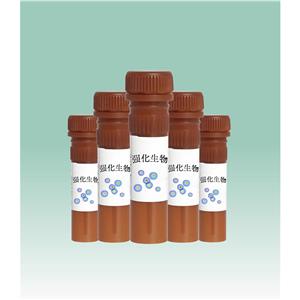 Dihydroethidium (DHE) 二氫乙錠，工作液的制備和細胞染色的步驟