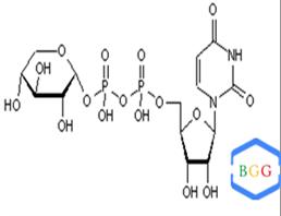 UDP-Xylose