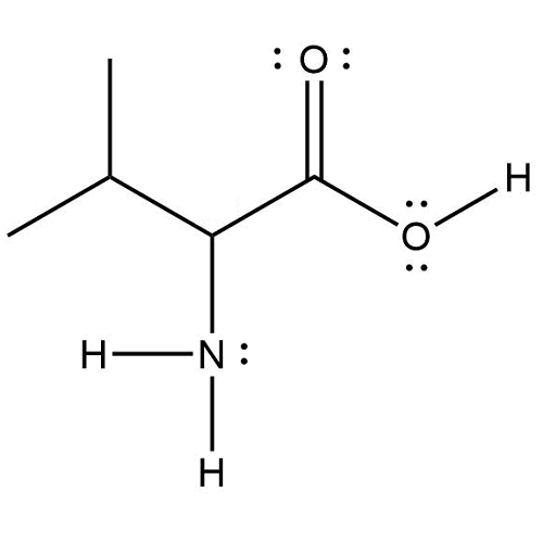 valine lewis structure