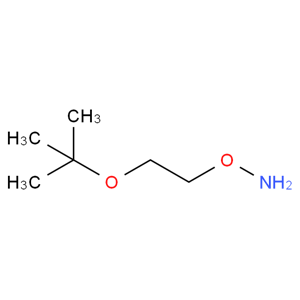 O-(2-叔丁氧基乙基)羥胺